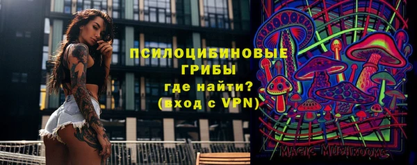 шишки Абдулино